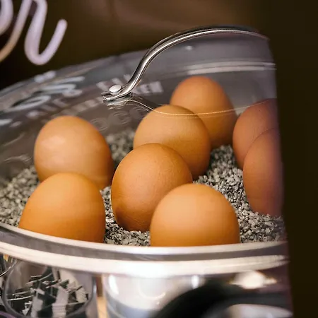 B&B Hotel Stralsund Hotel Stralsund